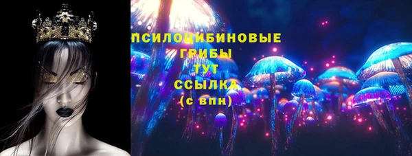 молекула духа Алзамай