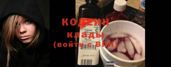 дурь Алексин