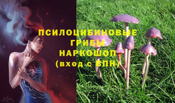 дурь Алексин