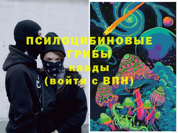 дурь Алексин