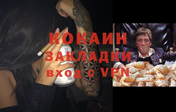 молекула духа Алзамай